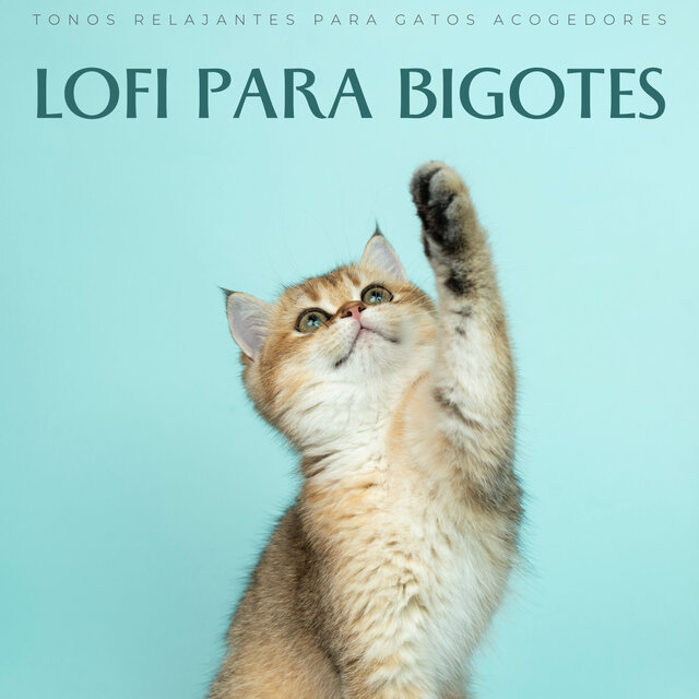 Lofi Para Bigotes: Tonos Relajantes Para Gatos Acogedores