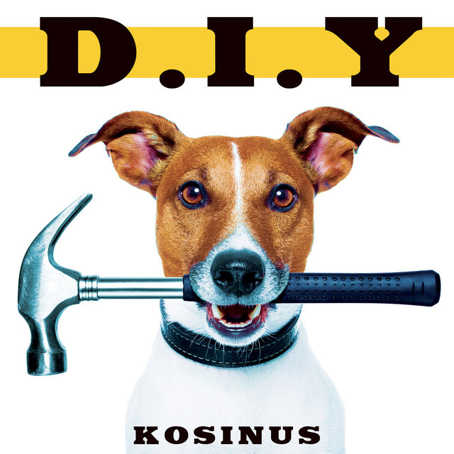 DIY