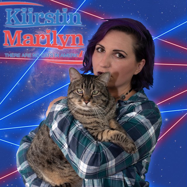 There Are No Cats in America