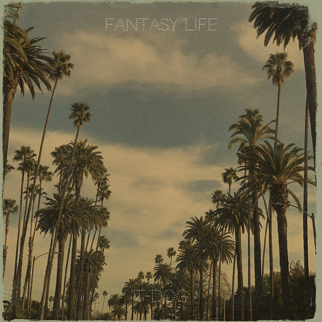 Fantasy Life