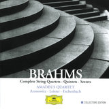 Brahms: Clarinet Quintet in B Minor, Op. 115: I. Allegro