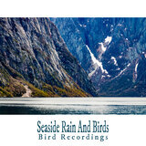 Seaside Rain And Birds