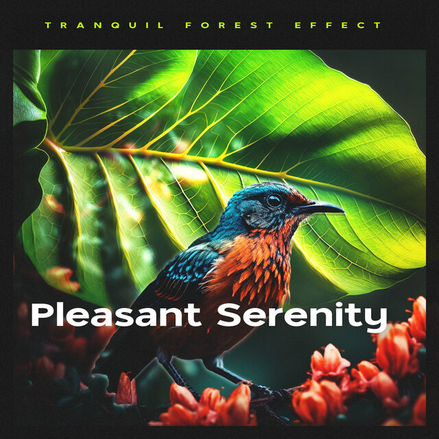 Pleasant Serenity