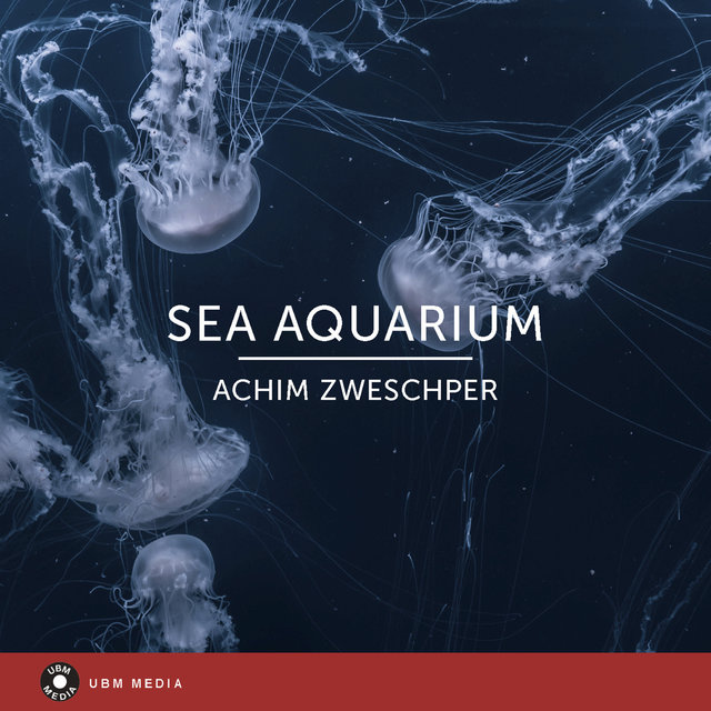 Sea Aquarium