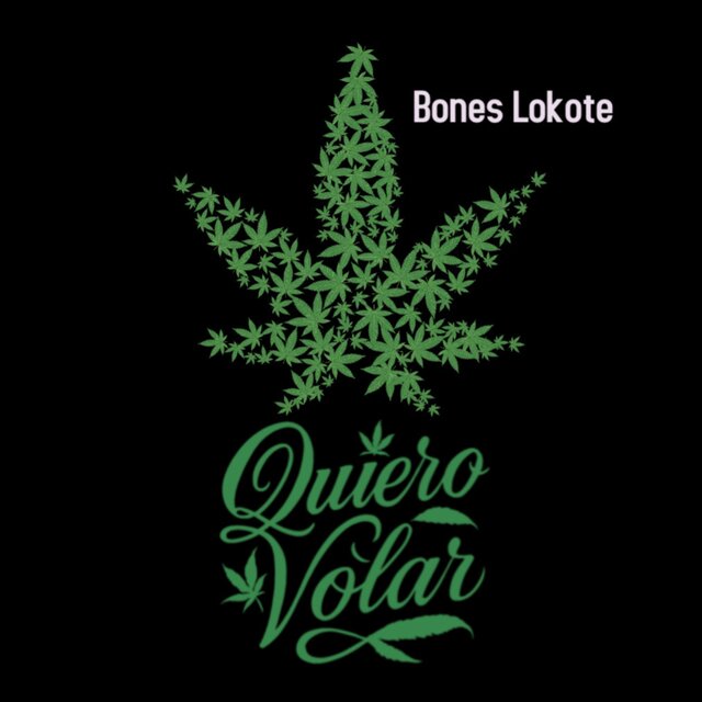 Quiero Volar