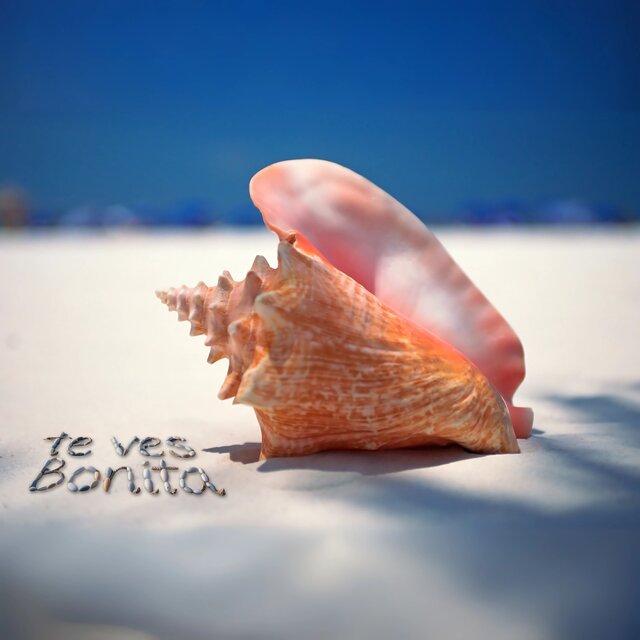 Te Ves Bonita