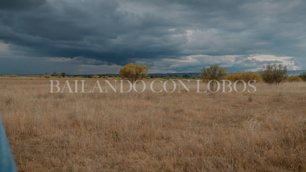 bailando con lobos