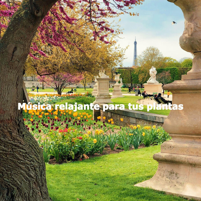 Música relajante para tus plantas