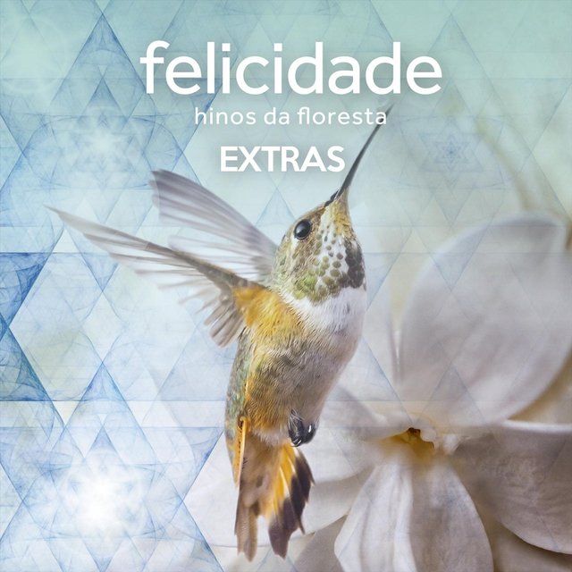 Felicidade Hinos da Floresta Extras