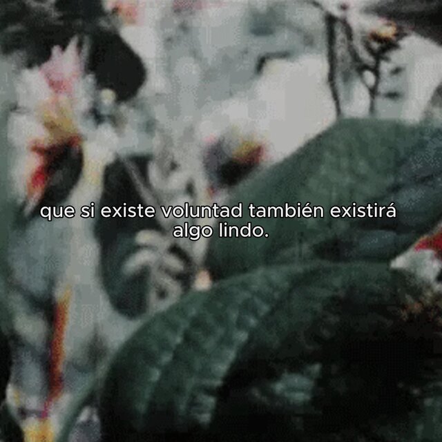Día 1