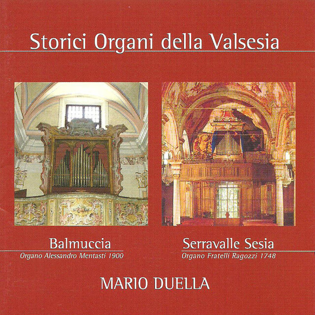 Storici organi della Valsesia