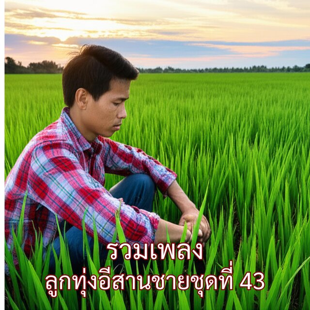รวมเพลงลูกทุ่งอีสานชายชุดที่ 43