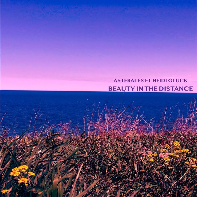 Beauty in the Distance