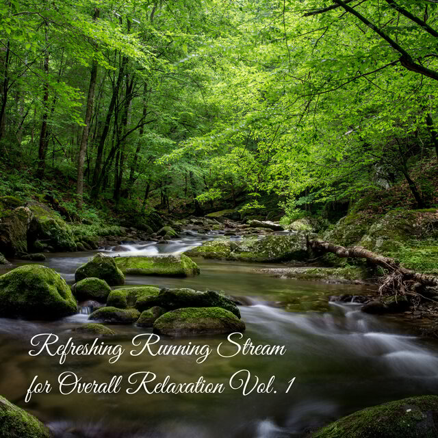 Refreshing Running Stream for Overall Relaxation Vol. 1