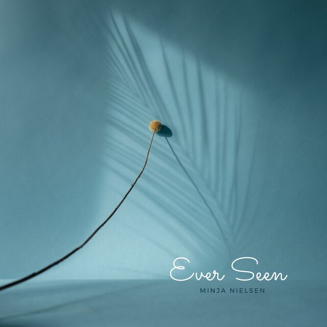 Ever Seen