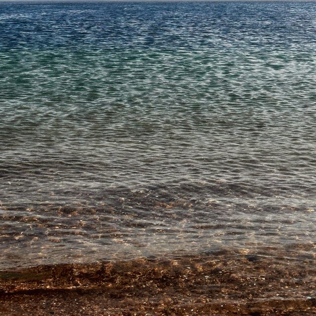 Fluid