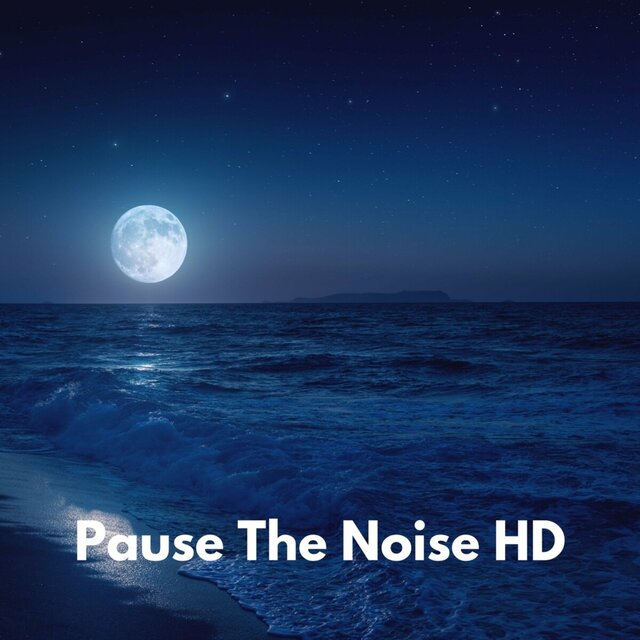 Pause the Noise HD