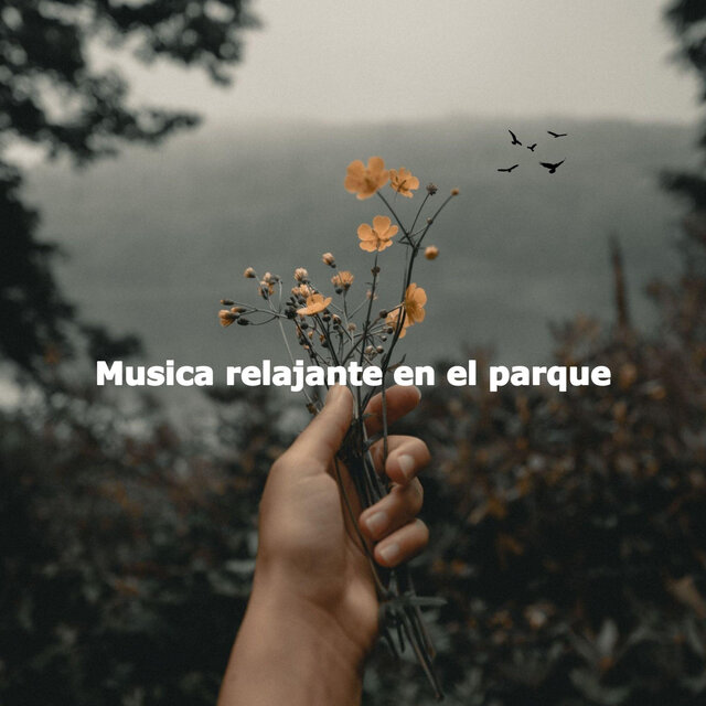 Musica relajante en el parque