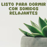 Hora De Dormir Relajante