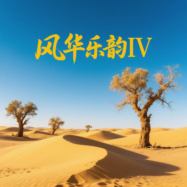 风华乐韵IV