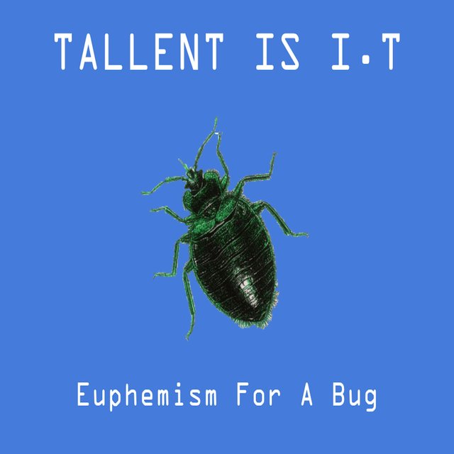 Euphemism for a Bug
