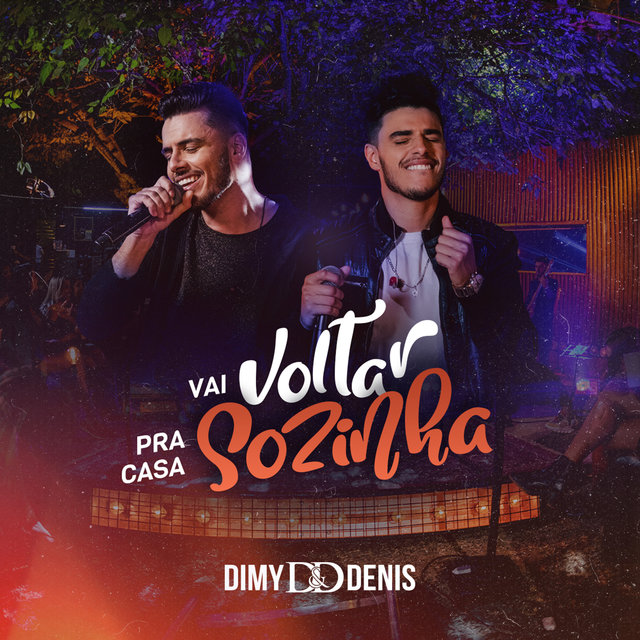 Vai Voltar pra Casa Sozinha (Ao Vivo)