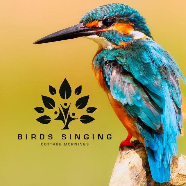 Birds Singing - Cottage Mornings