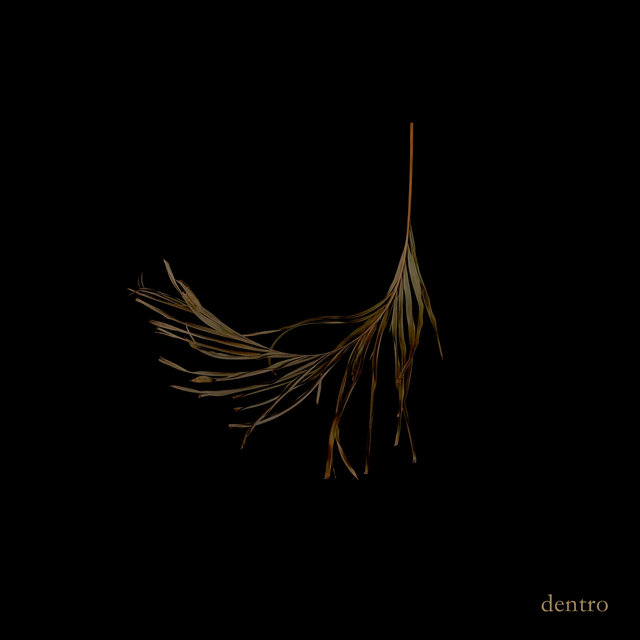 Dentro