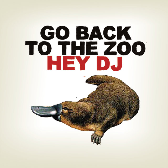 Hey DJ