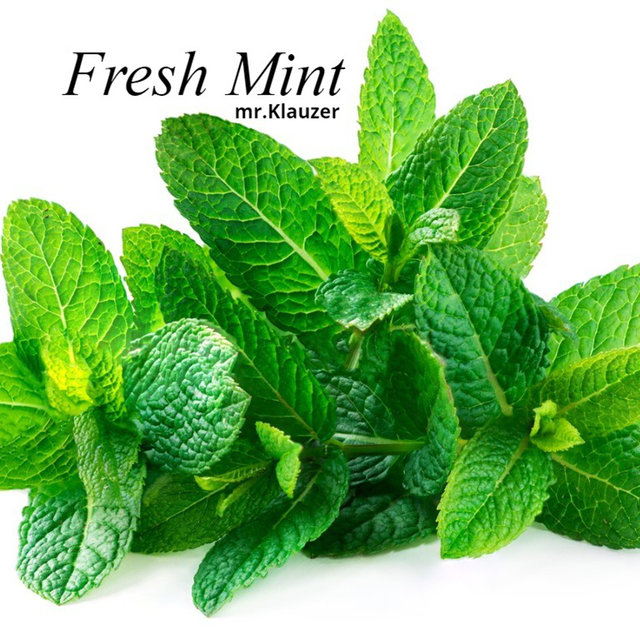 Fresh Mint