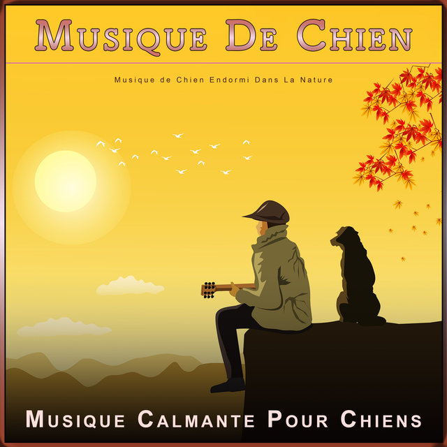 Musique De Chien : Musique de Chien Endormi Dans La Nature