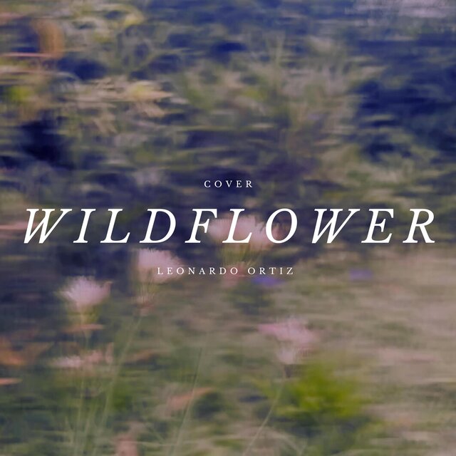Wildflower
