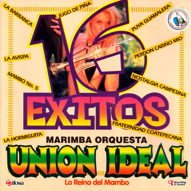 Marimba Orquesta Union Ideal on TIDAL
