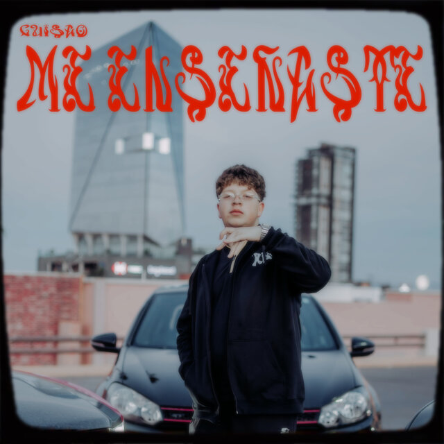 Me Enseñaste