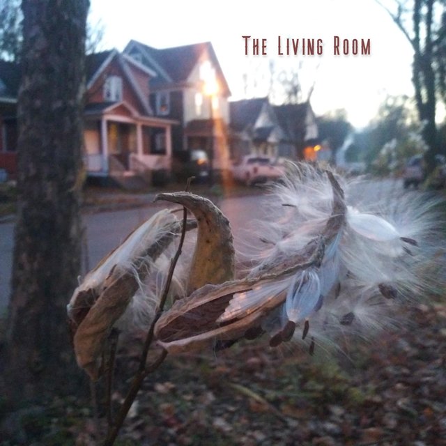 The Living Room