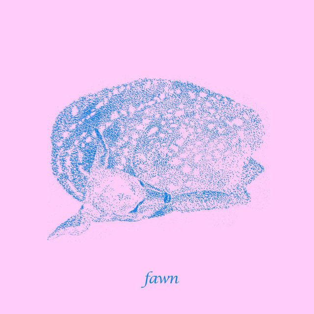 Fawn