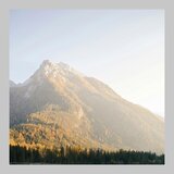 My Favourite Human - Revisited