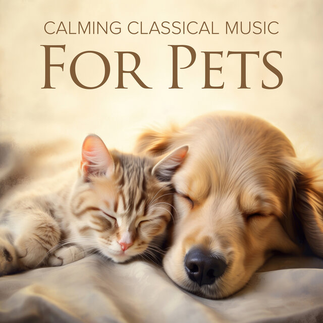 Calming Classical Music for Pets