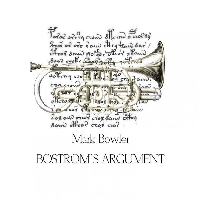 Bostrom's Argument