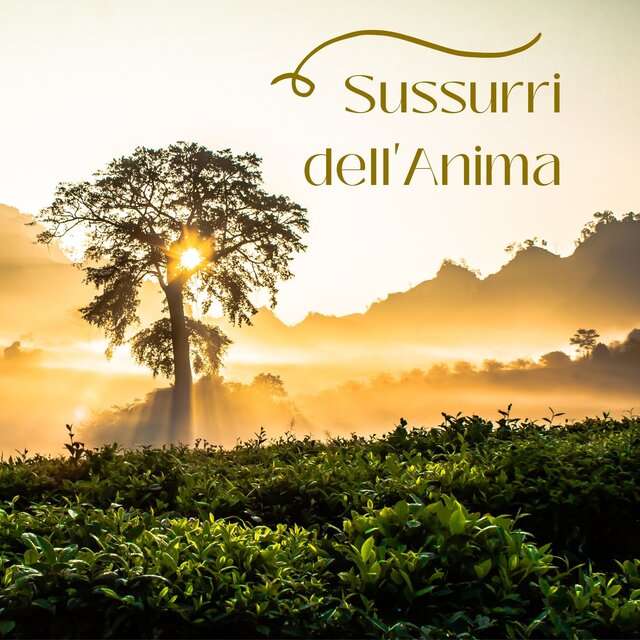 Sussurri dell'anima: Armonie dell'universo per un profondo relax