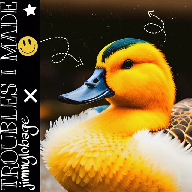 Troubles I Made