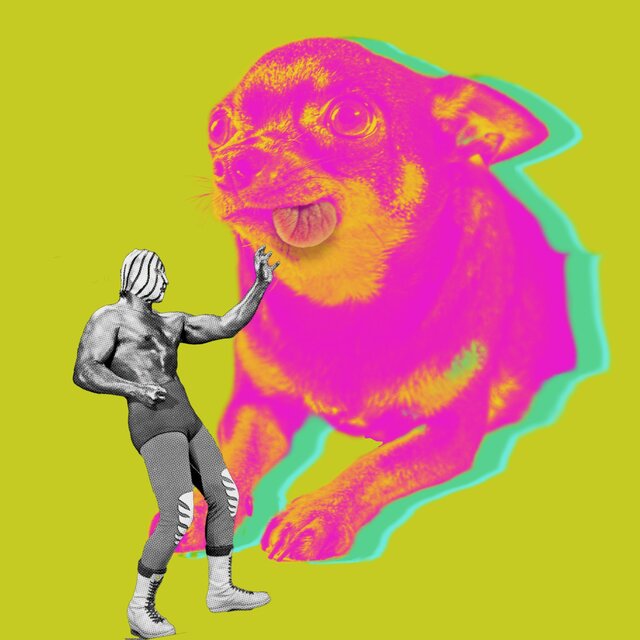 Poco Amigo