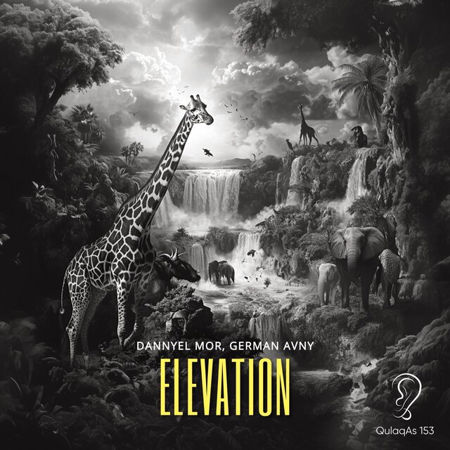 Elevation