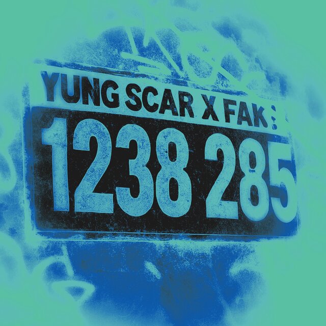 1238 285 (feat. fak!)