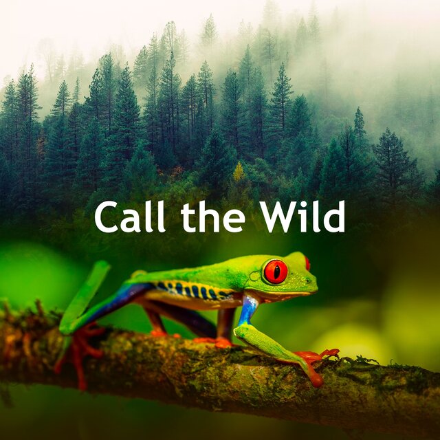Call the Wild