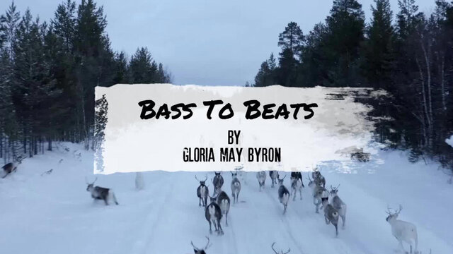 Bass To Beats (Lyric Video)