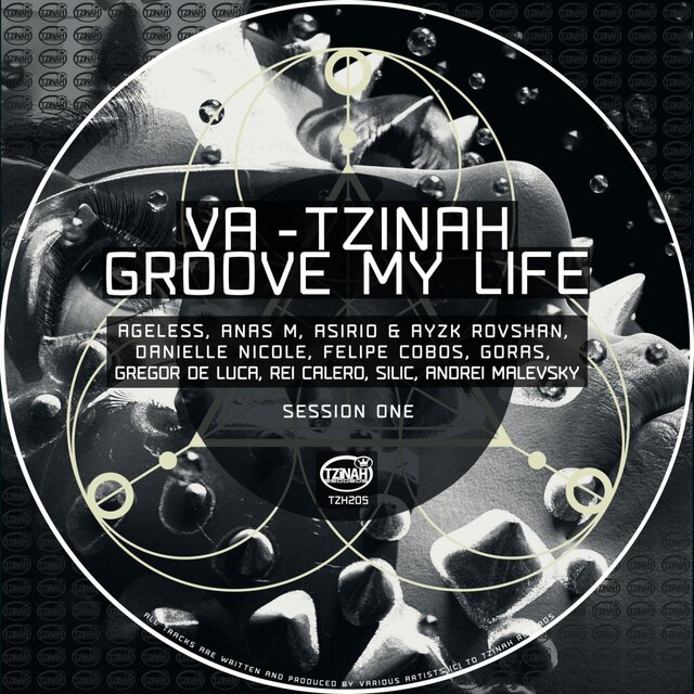 Tzinah Groove My Life