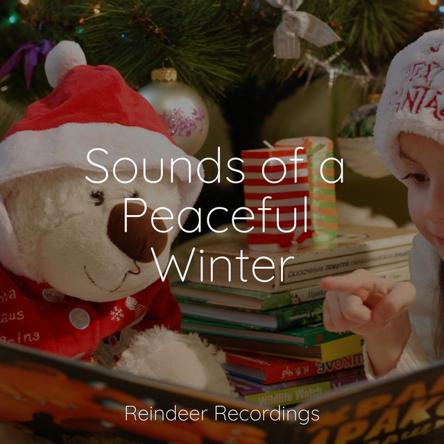 Sounds of a Peaceful Winter