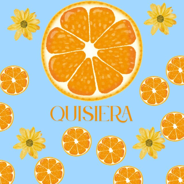 Quisiera