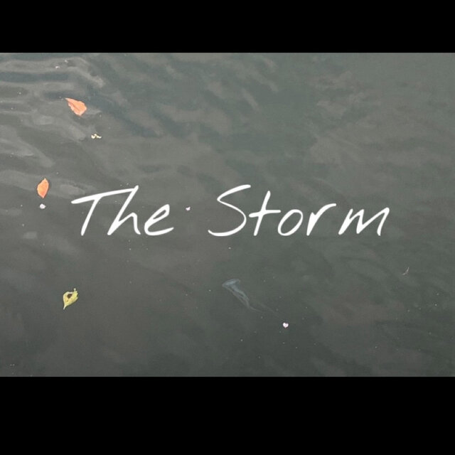 The Storm